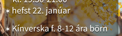 Auglýsing fyrir námskeið